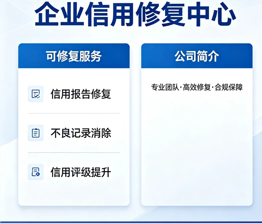 介绍公司以及公司可修复服务