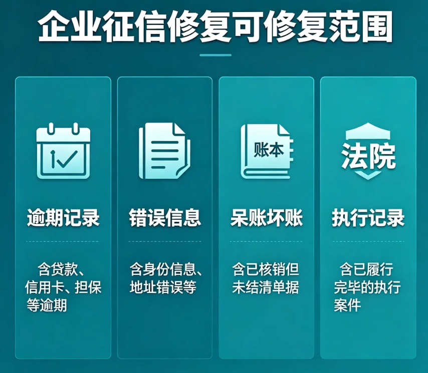 逾期记录 错误信息 呆账坏账 执行记录